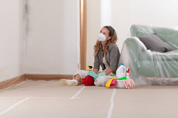 Reliable Commercial Mold Remediation contractor in Clermont, FL by 24 Hour Mold Removal